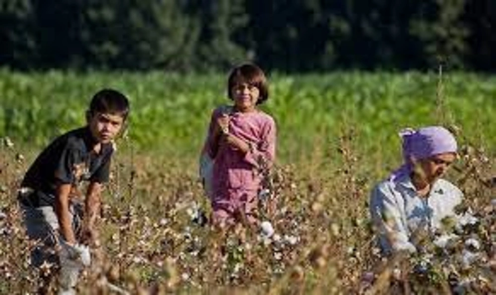 enfants cueillette coton